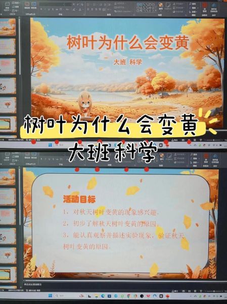 树叶为什么会变黄掉落_秋天落叶过程