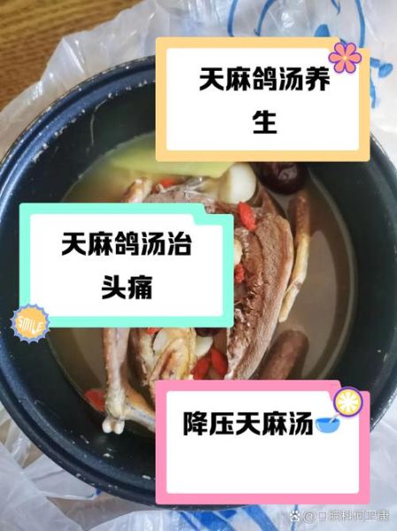 鸽子天麻汤的做法_鸽子天麻汤的功效