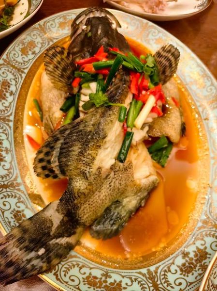 石斑鱼清蒸怎么做_清蒸石斑鱼蒸多久