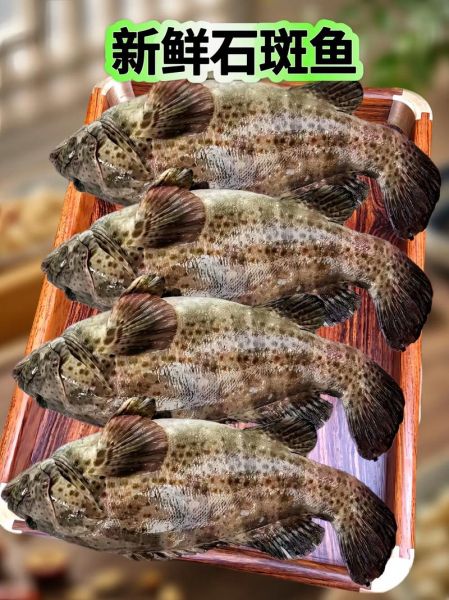 石斑鱼清蒸怎么做_清蒸石斑鱼蒸多久