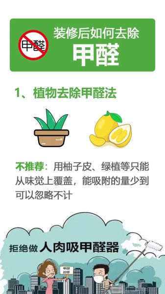 如何快速去除甲醛_甲醛超标怎么办