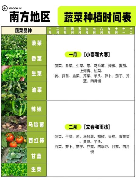 作物生长周期多久_作物生长需要哪些条件