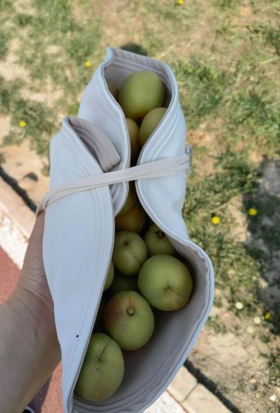 酸酸的口感像什么_酸酸的口感是变质了吗