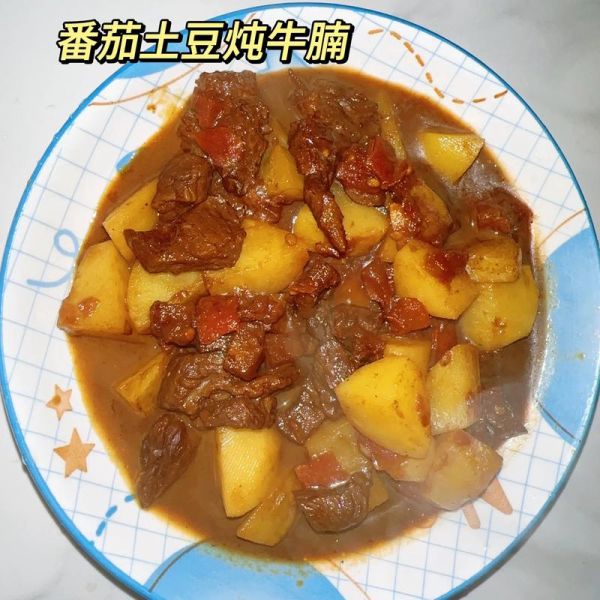 西红柿炖牛腩怎么做_西红柿炖牛腩家常做法