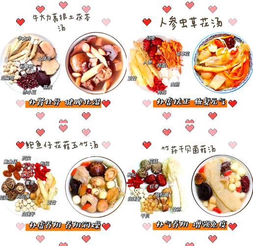 补肾汤的做法大全_补肾汤怎么煲最补肾