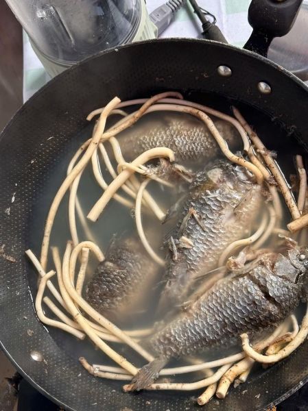 通草鲫鱼汤怎么做_通草鲫鱼汤下奶吗