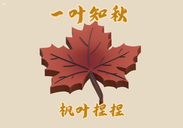 枫叶词语图片大全_如何教孩子识枫叶