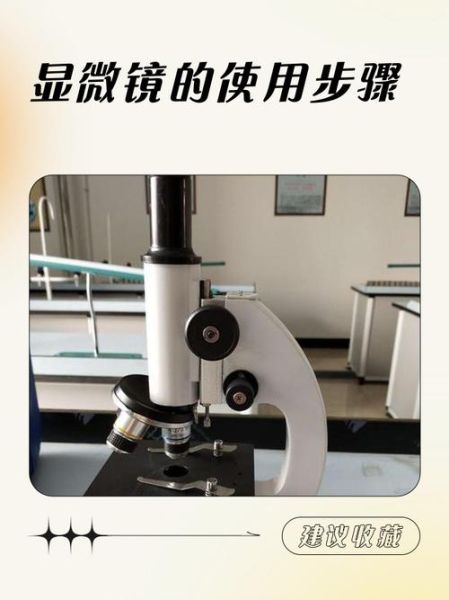 手机显微镜怎么用_手机显微镜多少钱