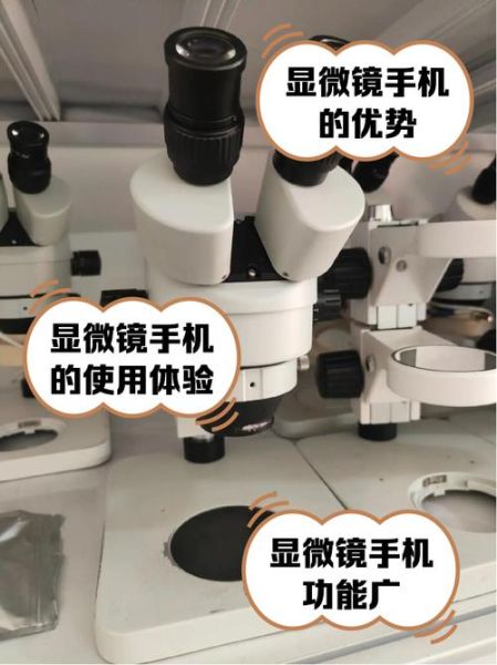 手机显微镜怎么用_手机显微镜多少钱