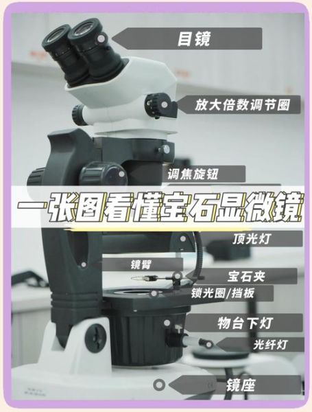 手机显微镜怎么用_手机显微镜多少钱