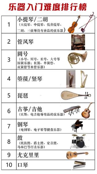 乐器名称大全_初学者怎么选