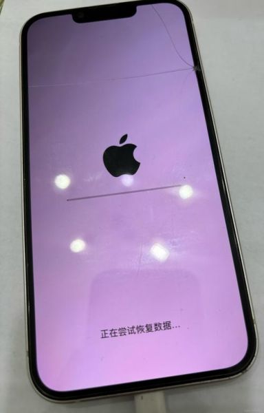 苹果手机开机一直显示苹果标志怎么办_卡在白苹果无法进入系统