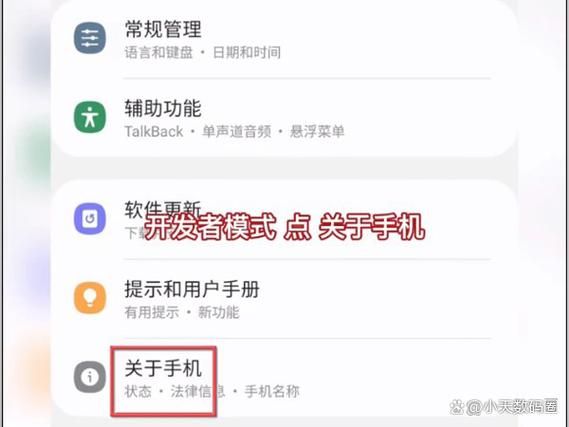 开发者模式怎么打开_开发者选项在哪设置