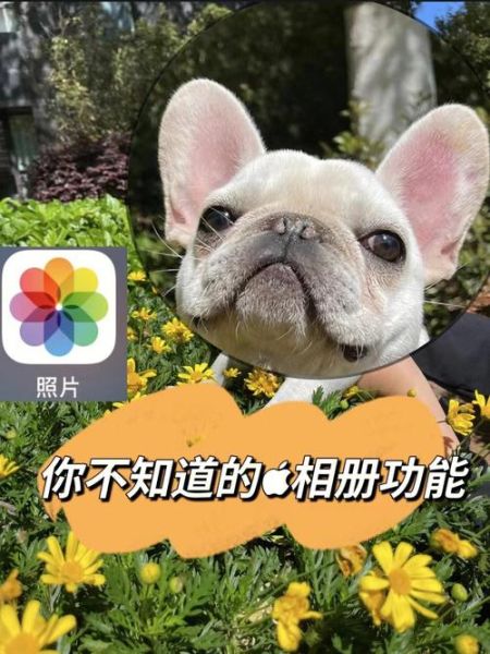 手机大头是什么_手机大头怎么关闭