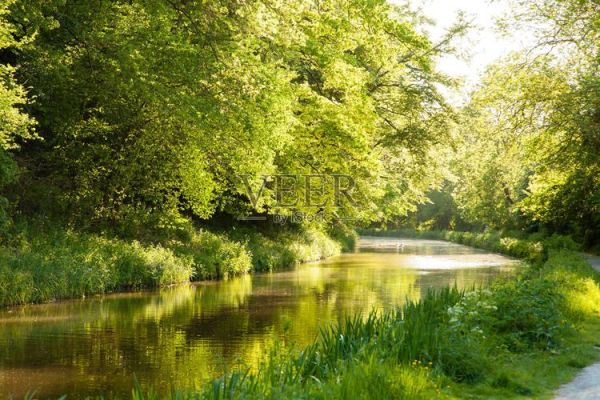 河流绿色词语有哪些_河流绿色词语怎么写