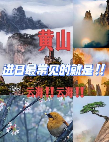 黄山旅游最佳时间_黄山看日出云海攻略