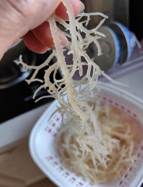 凉拌石花菜怎么做_石花菜焯水几分钟才脆