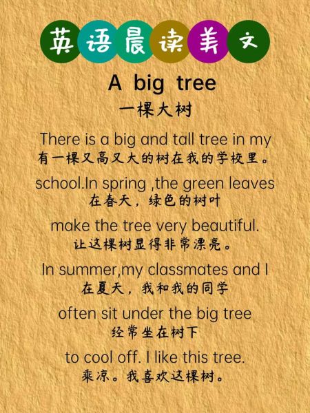 aaab词语大树是什么_aaab词语大树怎么用