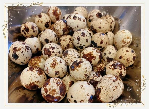 卤鹌鹑蛋怎么做好吃_卤鹌鹑蛋的做法窍门
