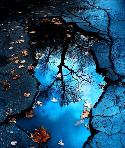 美丽倒影怎么拍_倒影构图技巧有哪些