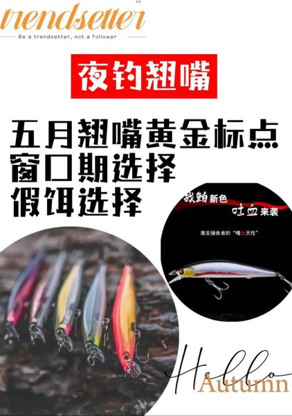 翘嘴鱼怎么钓_翘嘴鱼用什么饵最好