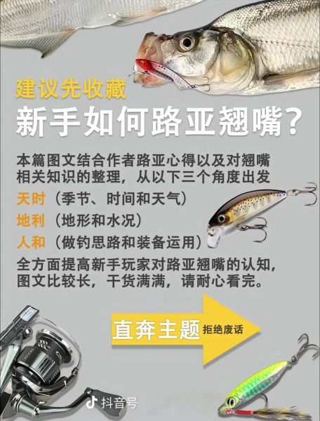 翘嘴鱼怎么钓_翘嘴鱼用什么饵最好