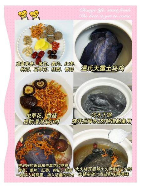 乌鸡怎么炖才补气血_乌鸡做法步骤详解