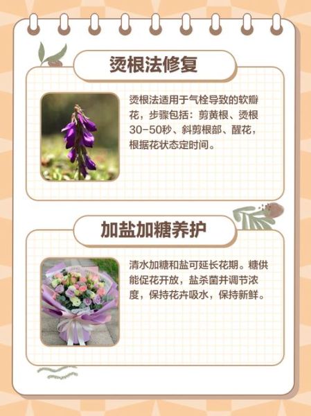 花朵枯萎怎么办_花朵枯萎还能救活吗