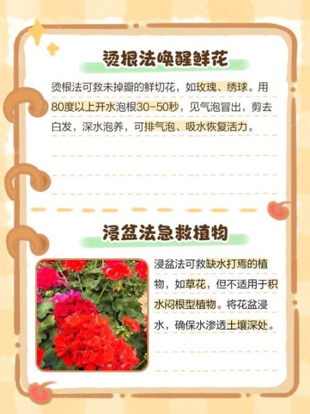 花朵枯萎怎么办_花朵枯萎还能救活吗