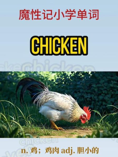 how_to_roast_a_chicken_perfectly_how_long_to_bake_chicken_thighs