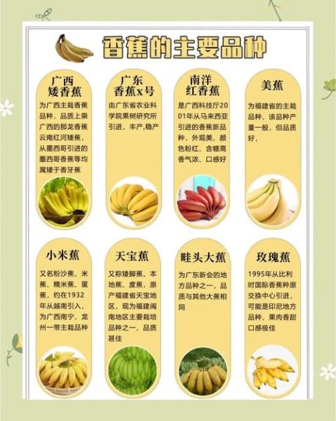 香蕉的功效与作用_香蕉的营养价值高吗