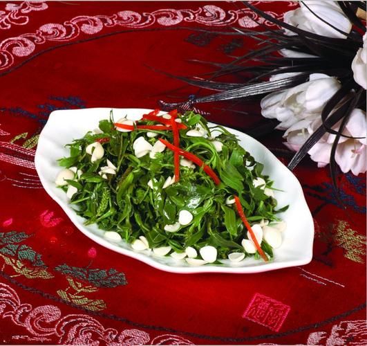 苦菜怎么做好吃_苦菜的家常做法大全