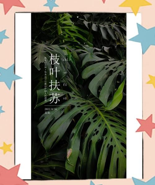 添枝加叶的词语有哪些_如何恰当使用