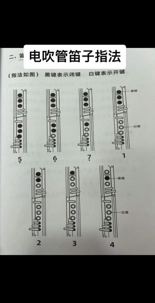 笛子初学者买什么调_笛子入门指法图解