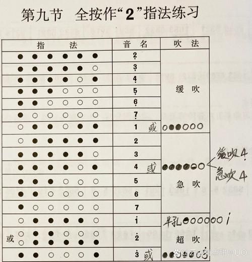 笛子初学者买什么调_笛子入门指法图解