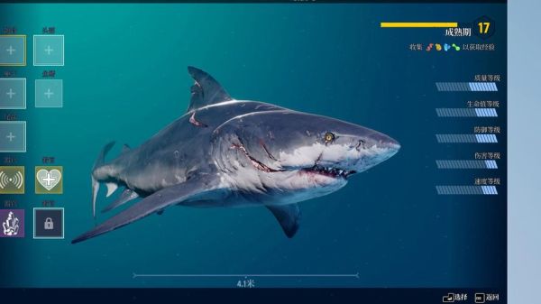 鲨鱼有哪些种类_鲨鱼为什么攻击人类