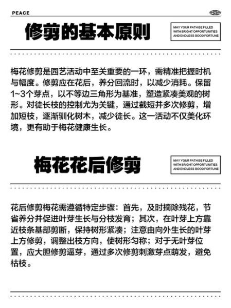 枝条修剪后多久发芽_枝条修剪的正确方法