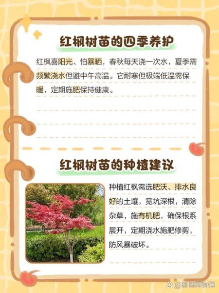 红叶什么时候最红_红叶四字词语有哪些