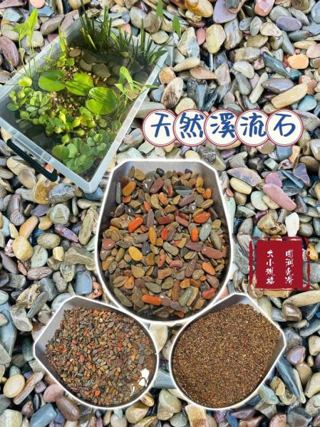 溪石怎么选_溪石有什么作用