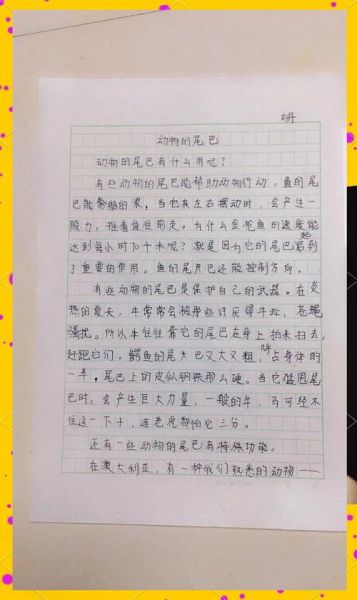 尾巴写作技巧_如何写出有吸引力的结尾