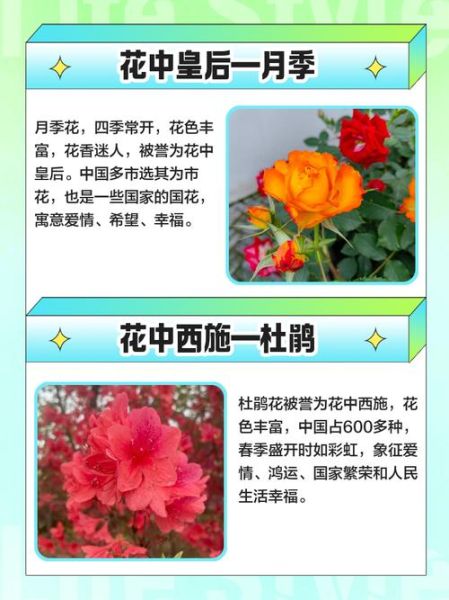 花争艳是什么意思_花争艳的寓意与用法