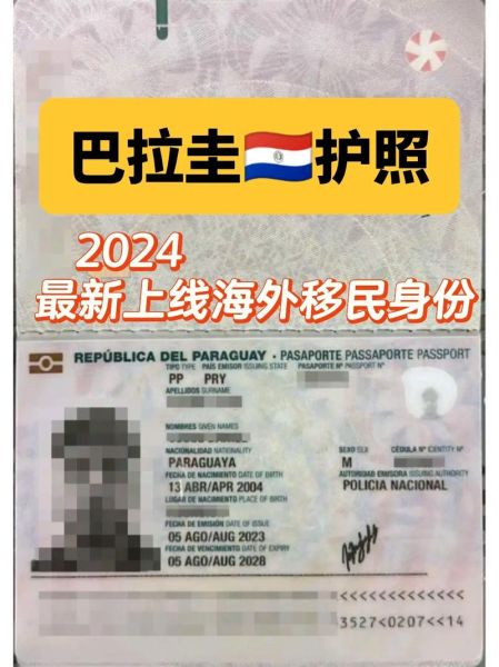 移民巴拉圭需要什么条件_移民巴拉圭需要多少钱