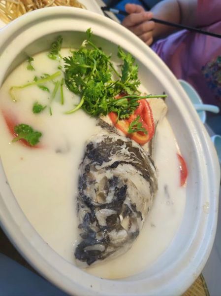 鱼头汤怎么做才白_鱼头汤的家常做法