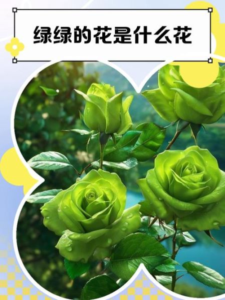 花绿搭配什么颜色好看_花绿配色禁忌有哪些