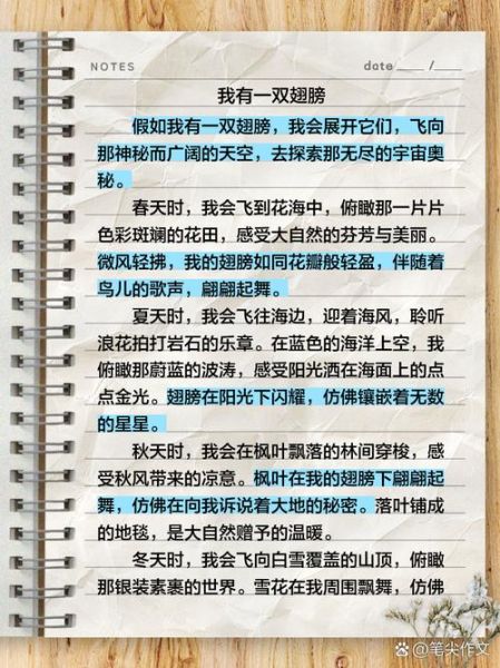 怎样的翅膀_如何写出有灵魂的翅膀描写