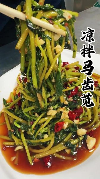 马齿苋怎么做好吃_马齿苋的家常做法大全