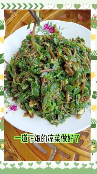 马齿苋怎么做好吃_马齿苋的家常做法大全