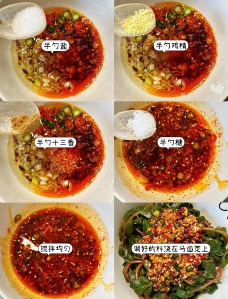 马齿苋怎么做好吃_马齿苋的家常做法大全