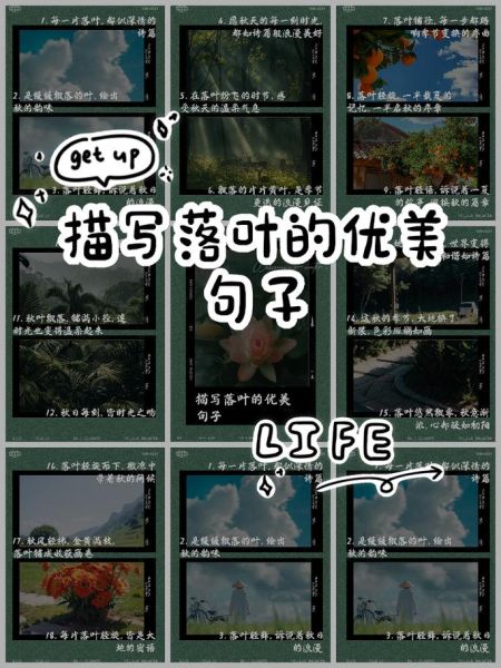 落叶纷飞_如何描写秋日落叶