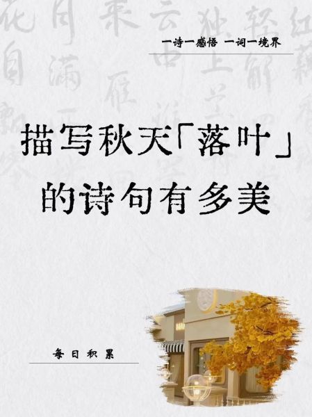 落叶纷飞_如何描写秋日落叶